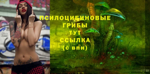 стафф Алексеевка
